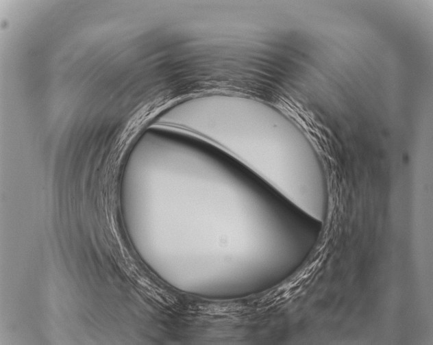 X0000087370241200704200825