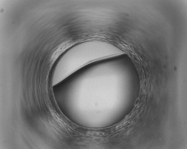 X0000087370242200704200825
