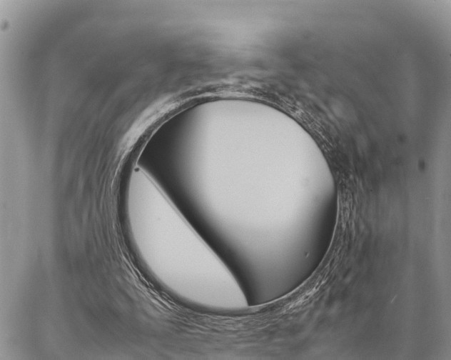 X0000087370295200704200824