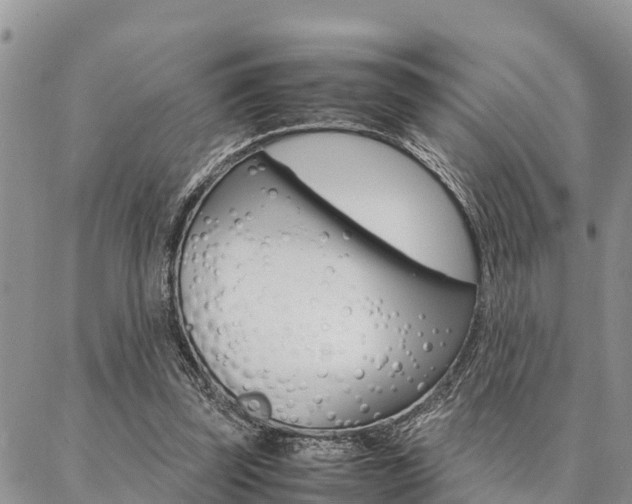 X0000087370347200704200823