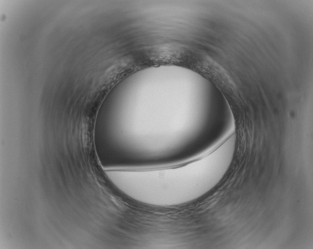 X0000087370416200704200822