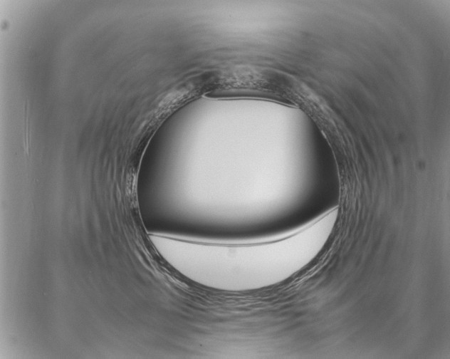 X0000087370429200704200822
