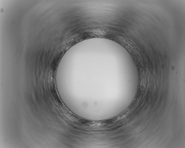 X0000087370518200704200821