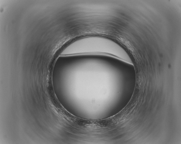 X0000087370544200704200820