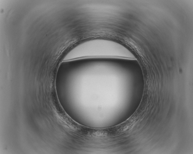 X0000087370546200704200820