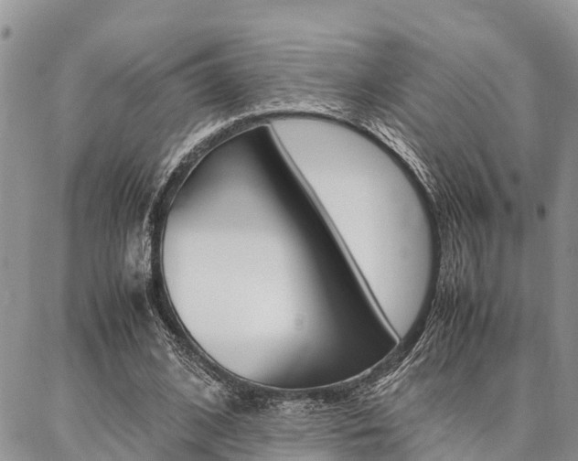 X0000087370584200704200820