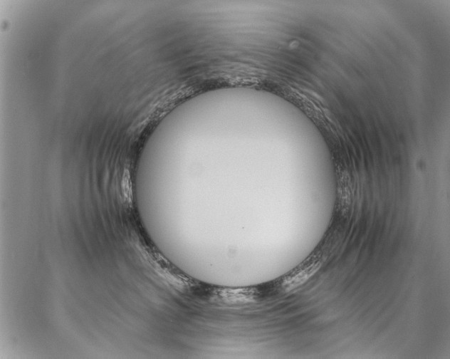 X0000087370622200704200819