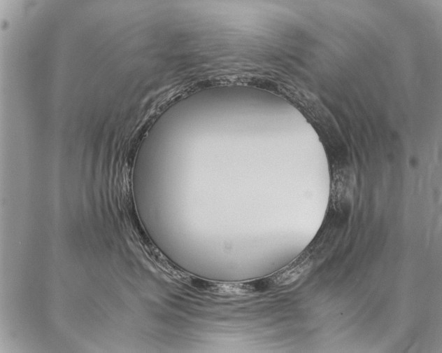X0000087370623200704200819