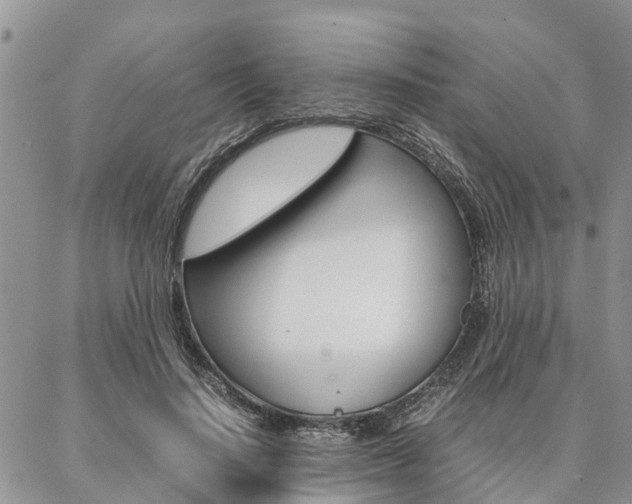 X0000087370644200704200819
