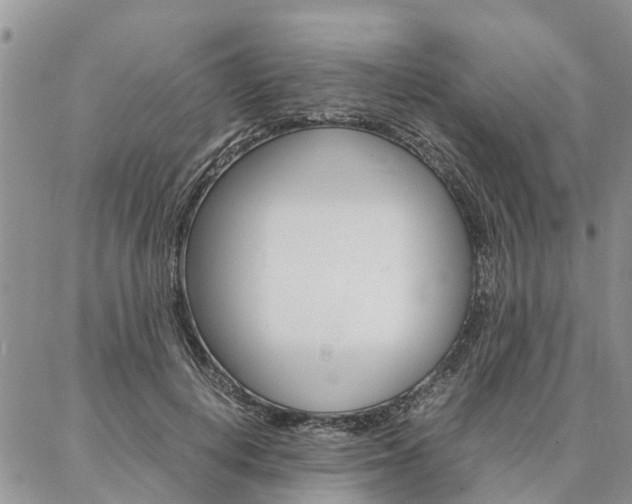 X0000087370648200704200819