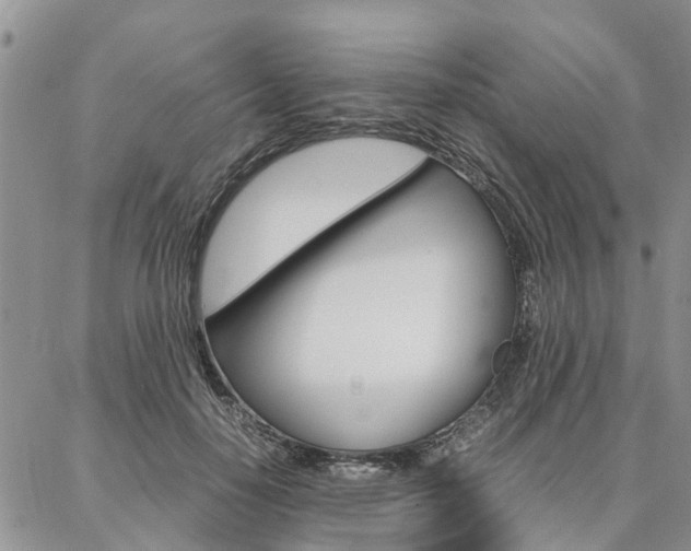 X0000087370650200704200819