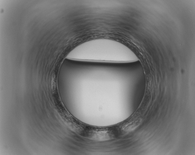 X0000087370651200704200819