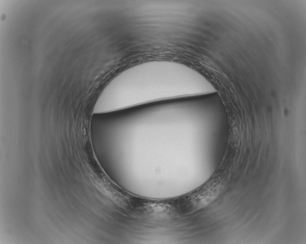 X0000087370654200704200819