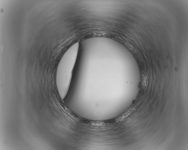 X0000087370666200704200819