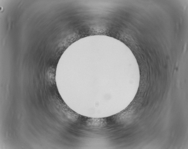 X0000087370672200704200819
