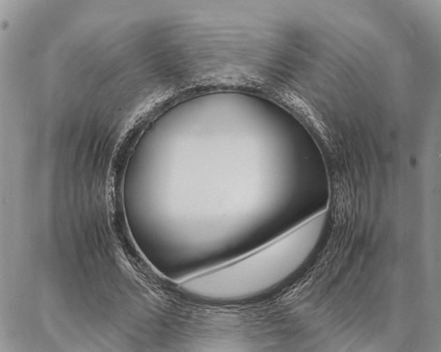 X0000087370680200704200818