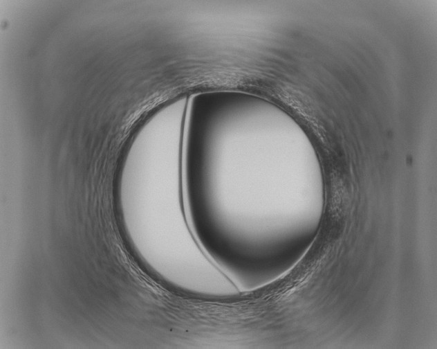 X0000087370681200704200818