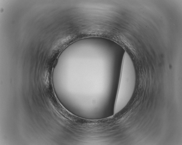 X0000087370692200704200818