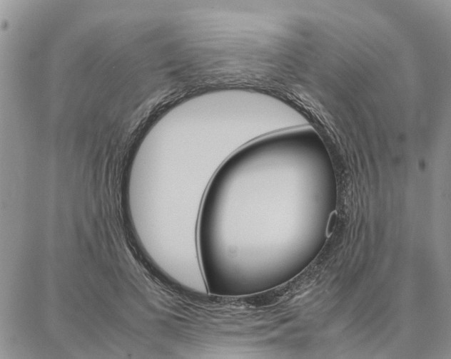 X0000087370693200704200818