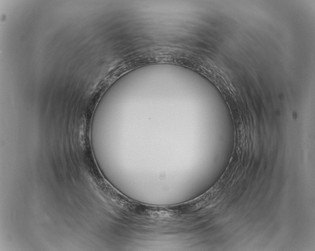 X0000087370698200704200818