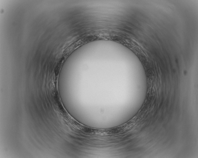 X0000087370702200704200818