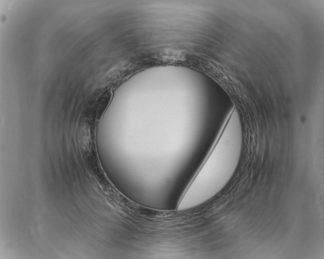X0000087370704200704200818