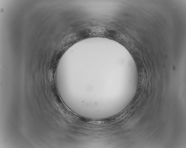 X0000087370711200704200818