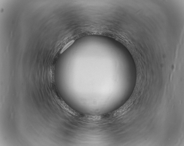 X0000087370720200704200817