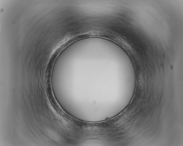 X0000087370730200704200817