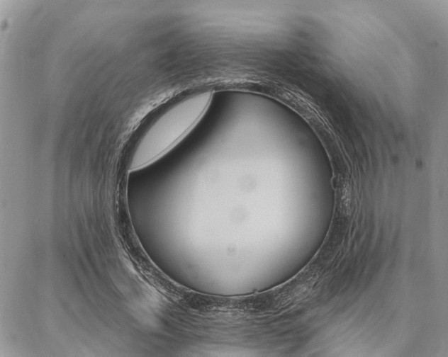 X0000087370732200704200817
