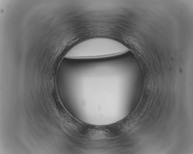 X0000087370743200704200817
