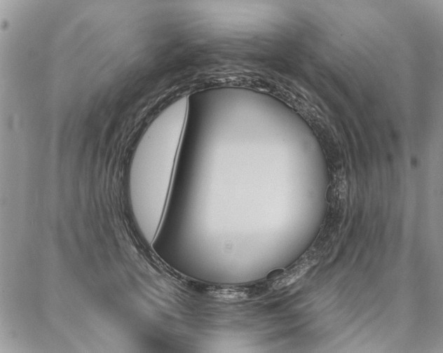 X0000087370754200704200817