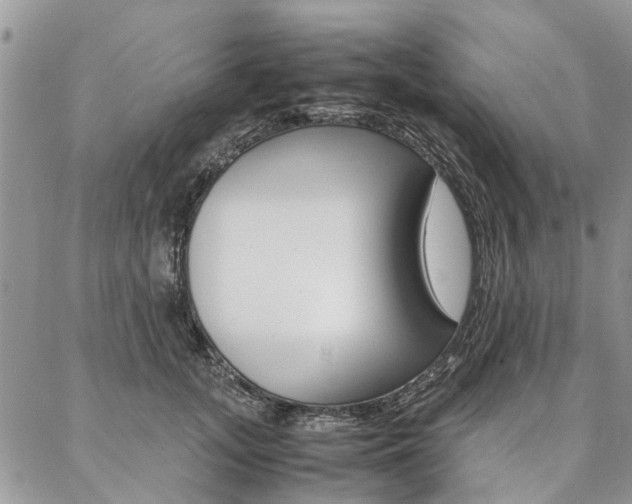 X0000087370755200704200817