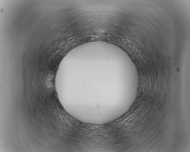 X0000087370770200704200817