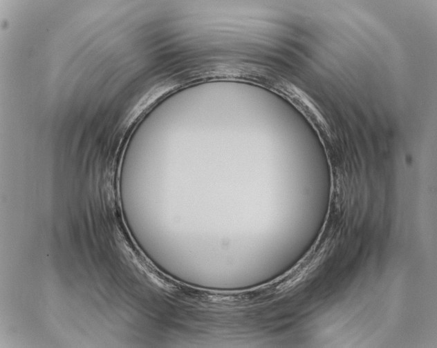 X0000087370794200704200816