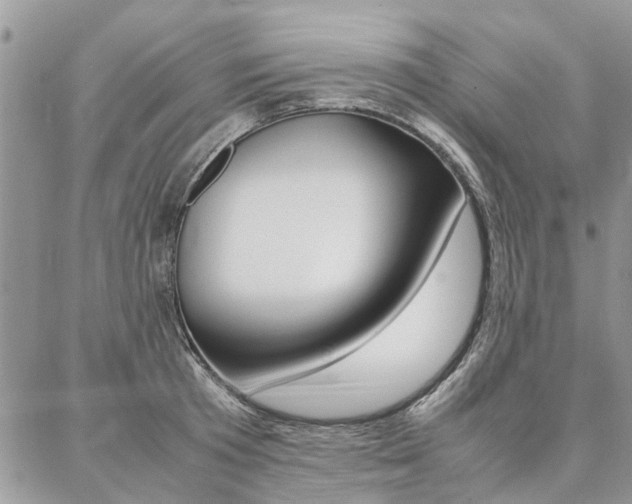 X0000087370801200704200816