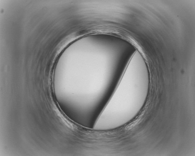 X0000087370803200704200816