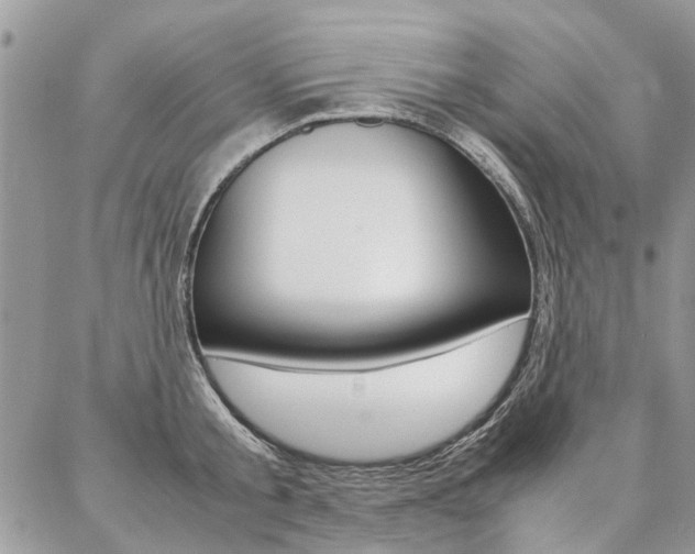X0000087370805200704200816