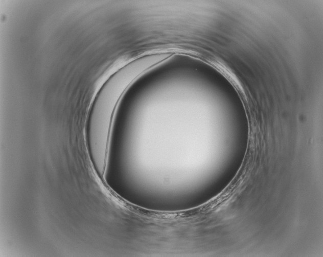 X0000087370813200704200816