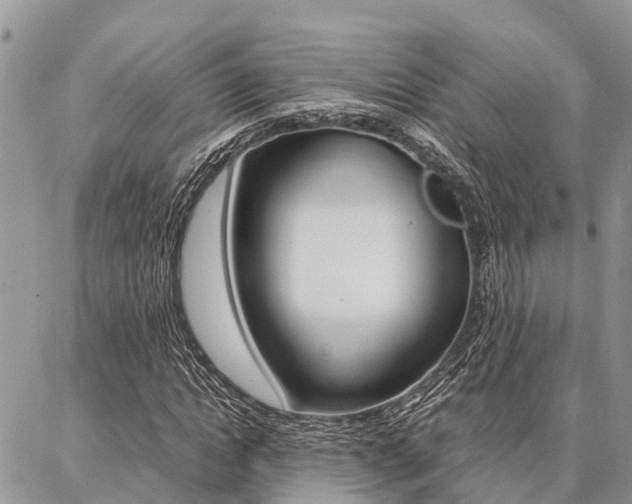 X0000087370822200704200815