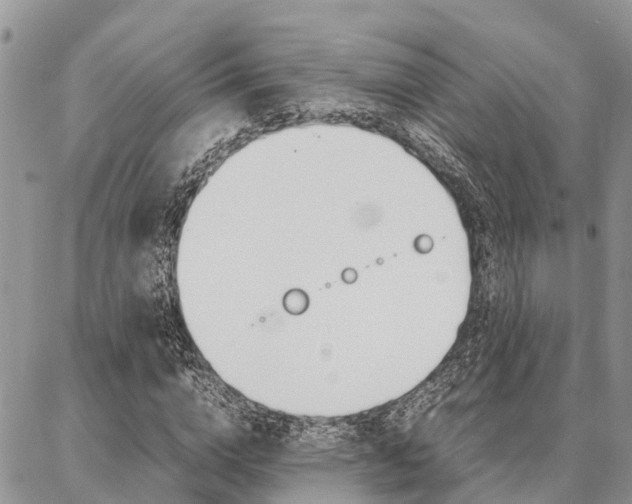 X0000087370824200704200815