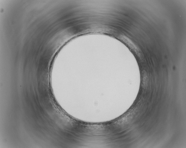 X0000087370836200704200815