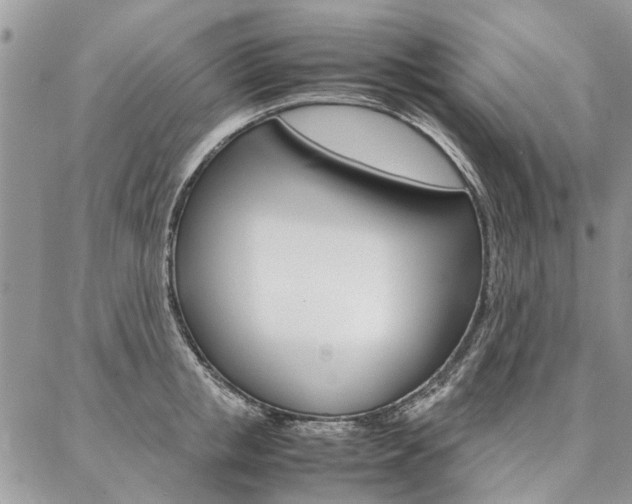 X0000087370853200704200816