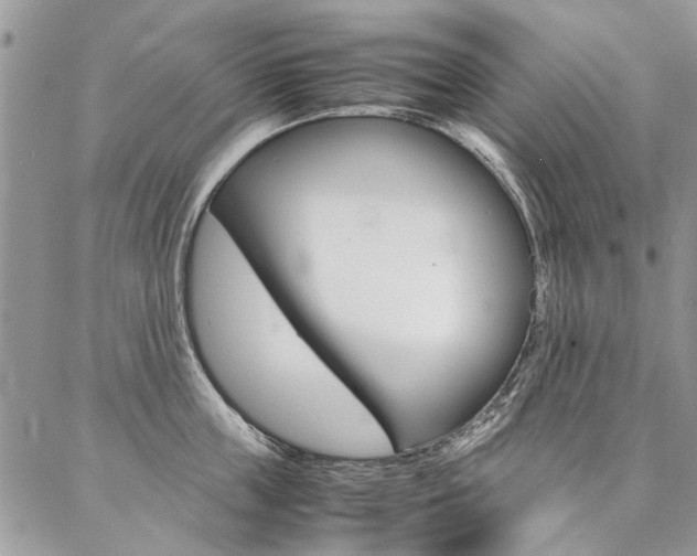 X0000087370859200704200816