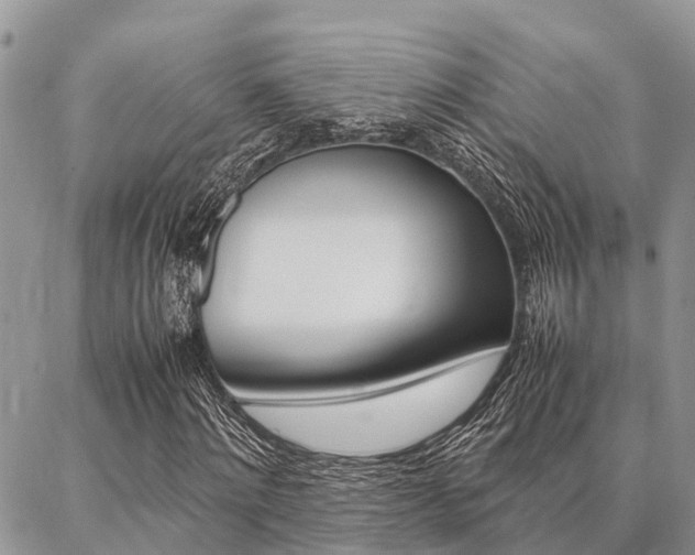X0000087370868200704200815