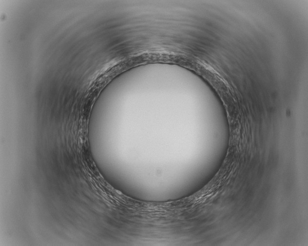 X0000087370870200704200815