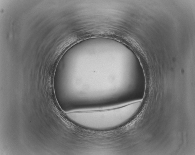 X0000087370881200704200815