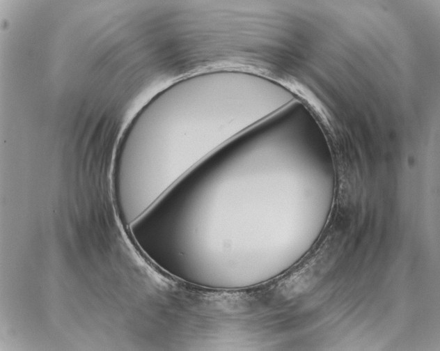 X0000087370902200704200815