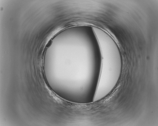 X0000087370909200704200814