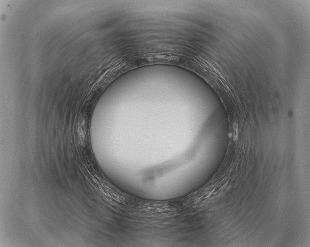 X0000087370915200704200814